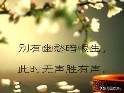别有幽愁暗恨生此时无声胜有声