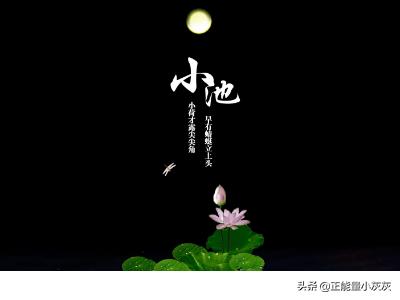 接天莲叶无穷碧的下一句是什么诗
