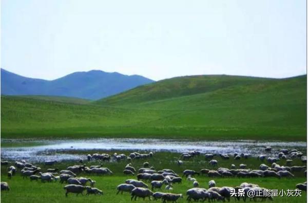 敕勒川古诗（敕勒川古诗全文朗读）