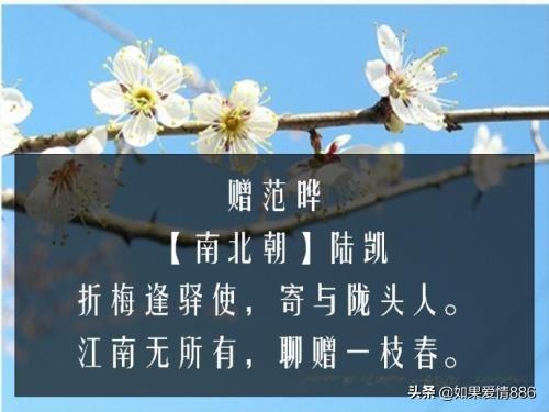 赠范晔（赠范晔诗古诗朗诵视频）