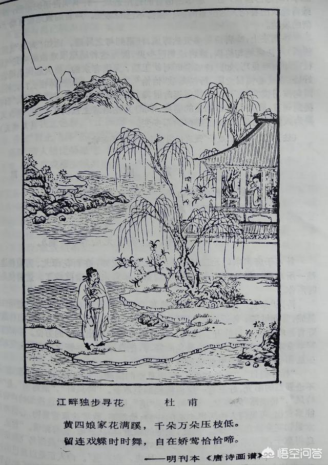 杜甫的《江畔独步寻花》（杜甫的《江畔独步寻花》翻译）