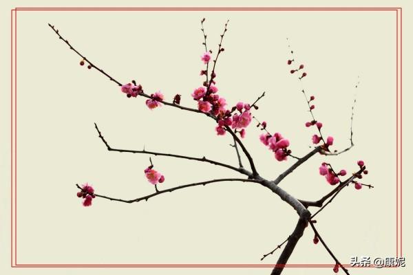 我家洗砚池头树全诗（吾家还是我家洗砚池头树全诗）
