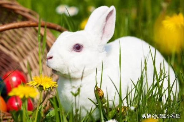 哄女朋友睡觉的小故事（异地哄女朋友睡觉的小故事）