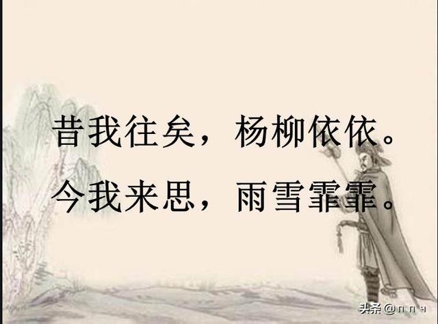 诗经采薇节选古诗的意思（采薇节选《诗经》(节选)的意思）