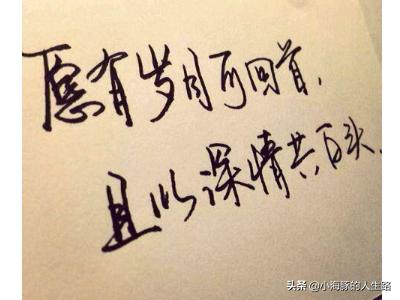 且以情深换白首（且以情深换白首小说）
