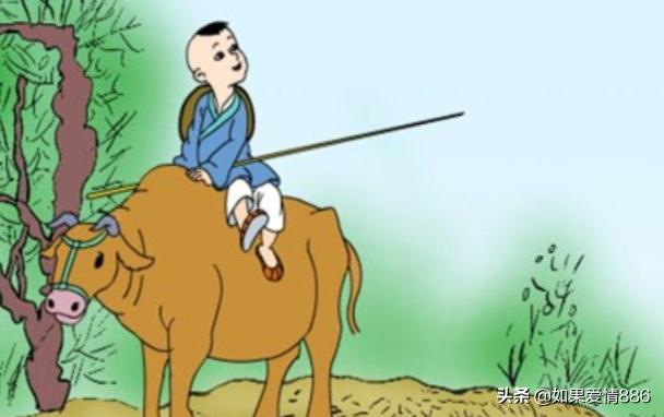 所见古诗的意思和翻译（所见古诗的意思和翻译图片）