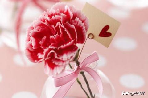 百花齐放（百花齐放百家争鸣的方针是在什么时候提出的）