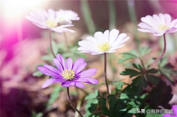 名言名句大全人生哲理与感悟