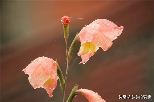 名言名句大全人生哲理与感悟