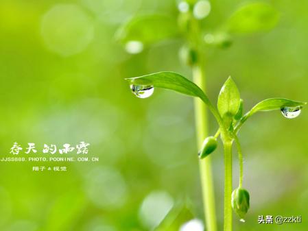 春季的诗（春天的诗 古诗）