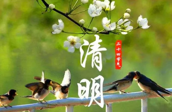 清明节谚语大全_清明节谚语大全及解释