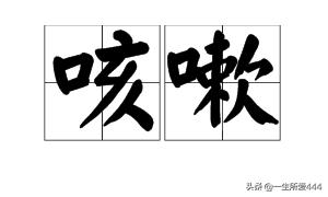 咳嗽拼音_咳嗽拼音正确写法
