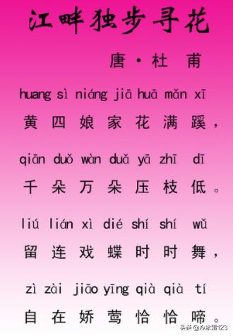 江畔独步寻花古诗的意思翻译