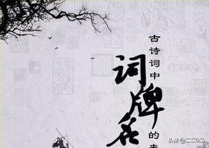 宋词词牌名都有哪些