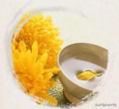 重阳节干什么_重阳节的习俗