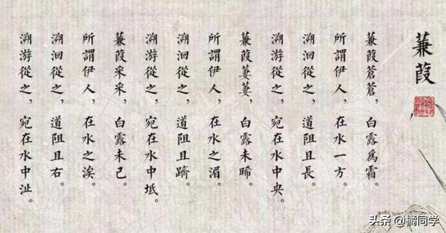 蒹葭全文赏析_蒹葭赏读