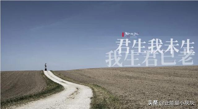 《我生君未生》全诗_《我生君未生》全诗原文