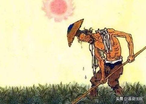 悯农其一怎么读