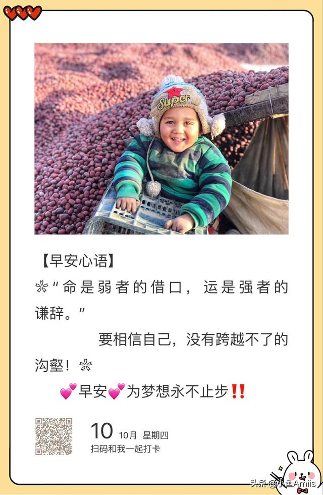 旅游团_旅游团把游客卖到缅北