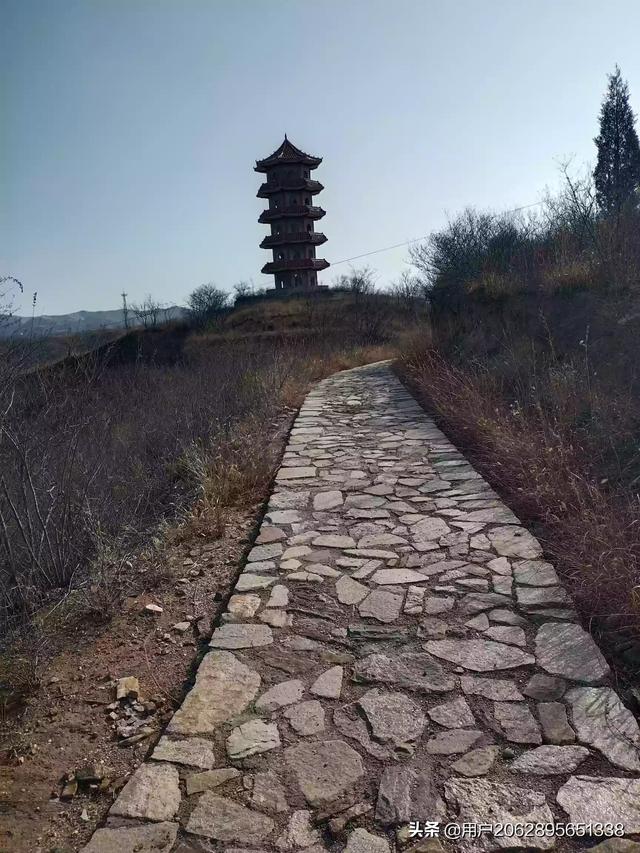 中国网络诗歌网官方_中国诗歌网个人网页