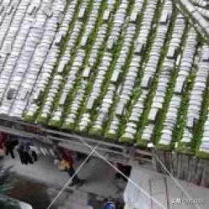 朱伞深巷无故人全诗_朱伞深巷无故人全诗文案