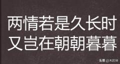 两情若是长久时又岂在朝朝暮暮什么意思