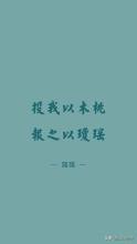 投我以木桃报之以琼瑶的意思