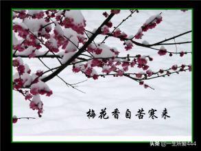 零落成泥碾作尘是指