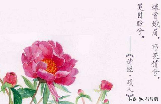 巧笑倩兮 美目盼兮（巧笑倩兮美目盼兮翻译）