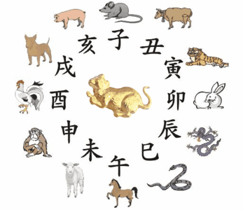生肖表（生肖表码表2025）