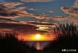 关于秋天优美的句子（关于秋天优美的句子摘抄大全有出处有作者）